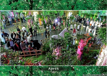 Exposition La Forêt Enchantée (122) Salle décorée